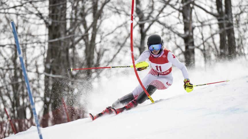 slalom photo